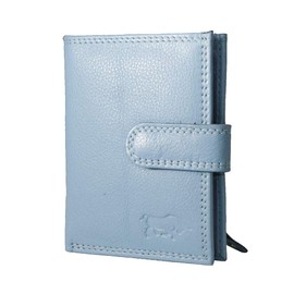 Arrigo Unisex Adult Card Case Wallet ID & Card Case, Blue (light blue)