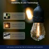 FLSNT 30 Pack LED S14 Replacement Bulbs for String Light,
