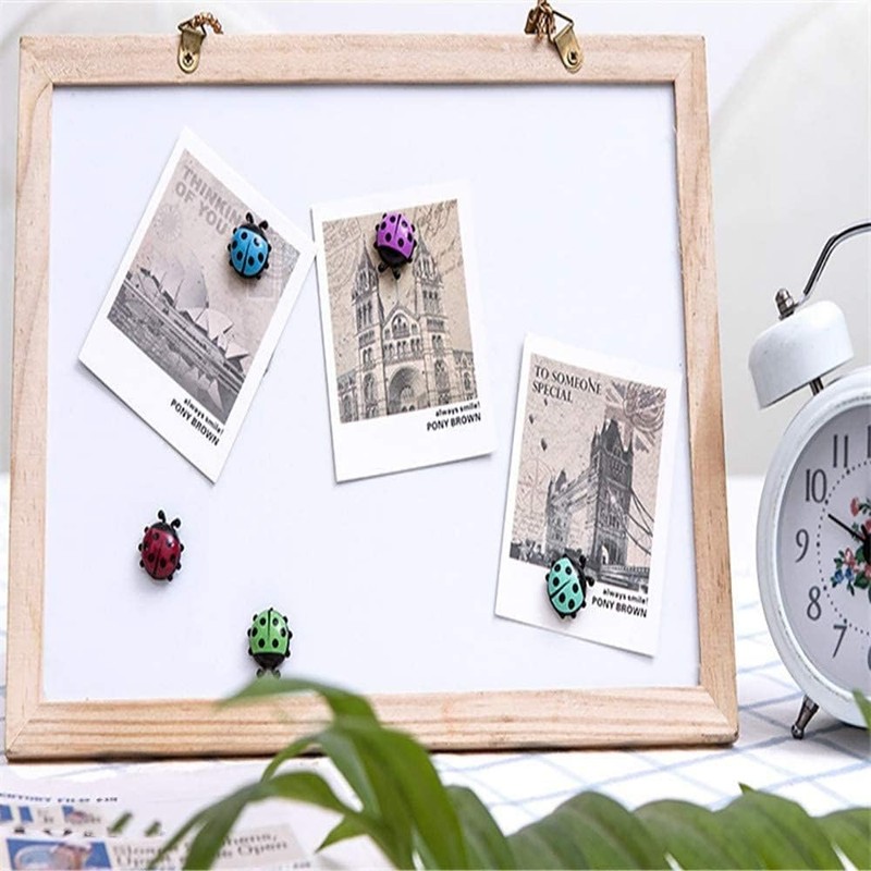 TXDAMAI Mini Ladybird Fridge Magnet 6 Pieces Creative Fridge Magnetic