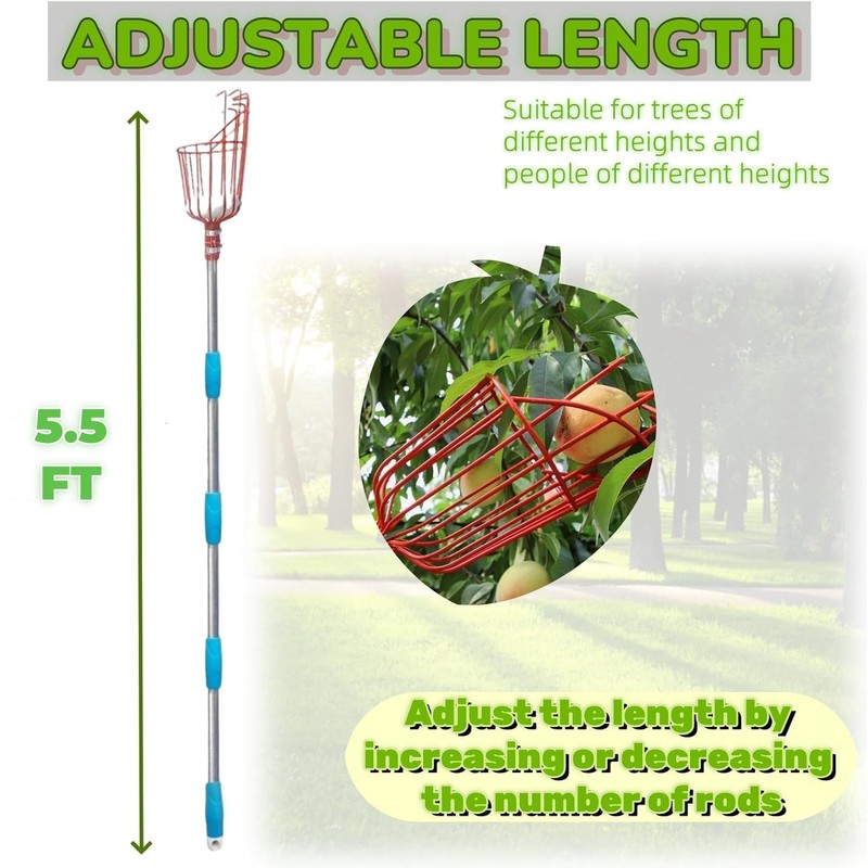 Adjustable Fruit Picker with Telescoping Handle and Basket, 5.5ft -