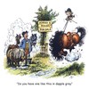Thelwell Horse riding greeting card. Dapple Grey. Fun cartoon