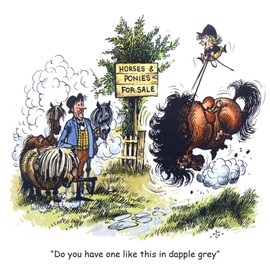Thelwell Horse riding greeting card. Dapple Grey. Fun cartoon
