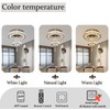 Flashing God Dia 12" Crystal Mini Chandelier Crystal Gold Ceiling