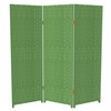 4 ft. Short Woven Fiber Folding Screen - Light Green
