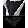 HISDERN Men's Tie Scarf Floral Paisley Ascot Tie Wedding Business