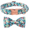 Unique style paws Dog Collar Bow tie Collar Adjustable Collars