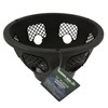 Green Jem 12-Inch Plastic Hanging Basket - Black