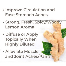 Plant Therapy Ginger Root CO2 Essential Oil 100% Pure, Undiluted, Natural Aromatherapy, Therapeutic Grade 10 mL (1/3 oz)