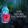 FIJI FIJI Natural Artesian Bottled Water 500mL / 16.9 Fl