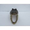 Real Alligator Head from a 4 Foot Gator