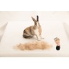Furminator SSA200-AU Deshedding Small Animal Brush Comb Tool For Small