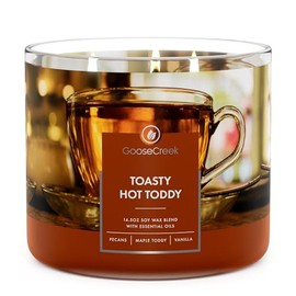 Toasty Hot Toddy Large 3-Wick Candle