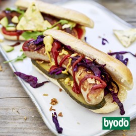 Byodo Organic Medium Hot Mustard in Tube (6 x 100 ml)