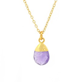 Gempires Natural Amethyst Pendant, Necklace for Women, February Birthstone Jewelry, Gift for Her, 16 + 2 Inch Adjustable 14k Yellow Gold Plated Chain