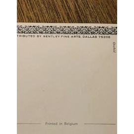 Orchid, Flower Floral Old Vintage Postcard Card Unposted Art Belgium Cottage