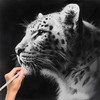 White Charcoal Pencils, Pack of 12 Charcoal Drawing Pencils, Charcoal