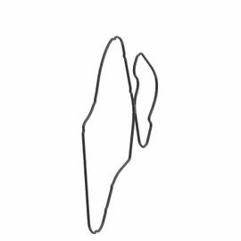 Indian Motorcycle Stator Cover Gasket, Genuine OEM Part 5414562, Qty 1