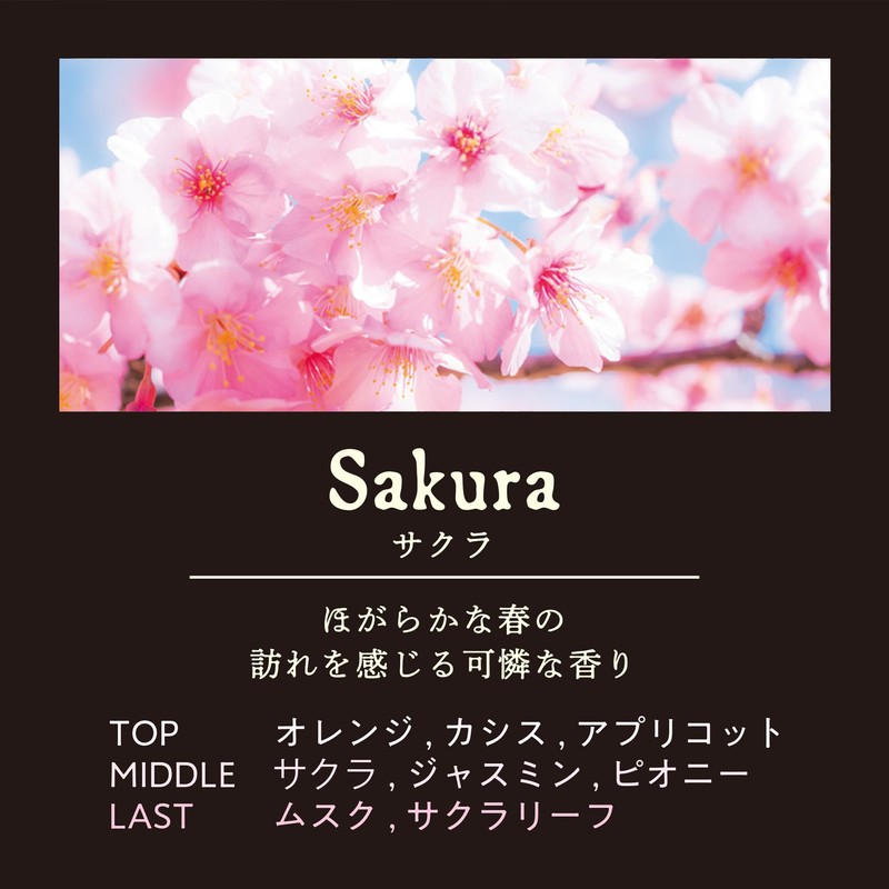 Harukado 3654 Seek Liquid Sakura