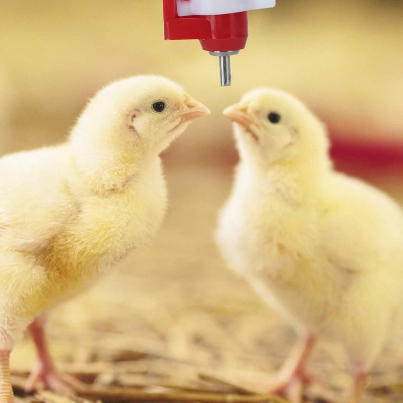 20Pcs Square Tube Automatic Poultry Drinker Drinking Nipple Farm Accessories