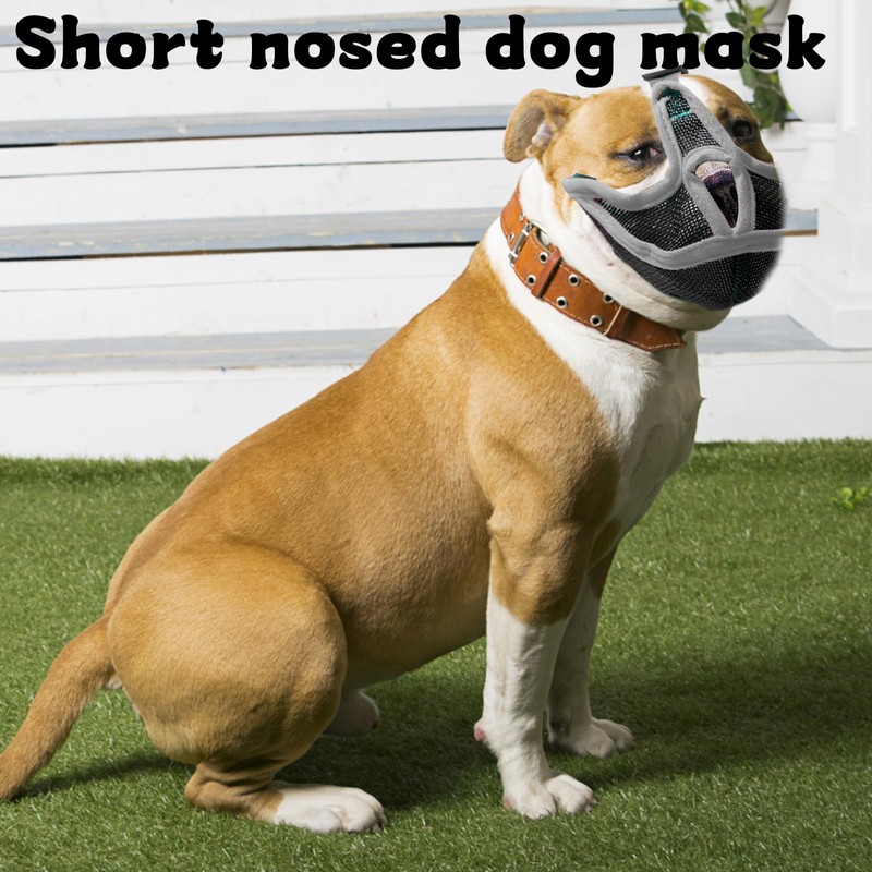 French Bulldog Muzzle, Muzzle for french bulldog, Frenchie Muzzle, Short