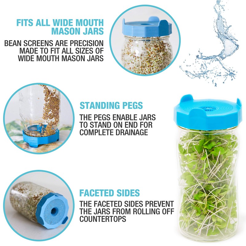 Masontops Bean Screen Sprouts Growing Kit - Sprouting Lids &