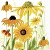 Napkin "Yellow Sun Hat"