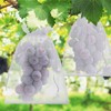 50 Pcs Fruit Protection Bags, 8x12 White Fruit Netting Bags