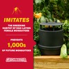 Catchmaster Oasis Ovi-Mini Mosquito Trap 4Pk, Home Outdoor Mosquito Control,