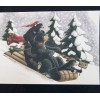 Posies and Such 20 Toboggan Bears Themed blank note cards