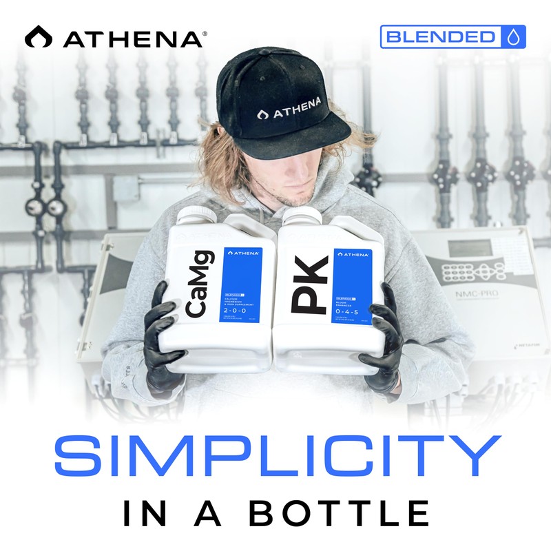 Athena CaMg 1 Gallon | Calcium, Magnesium, Iron & Nitrogen