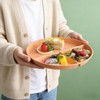Delphinus 8 Pack 9 Inch Divided Plates For Adults, 3