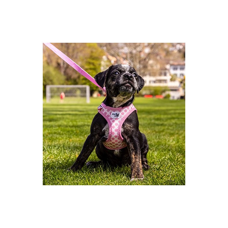 Vest Harness Curli Clasp Air Mesh Pink-Circles M & Leash