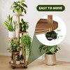 Uneedem 5 Tier Plant Stand Indoor with Wheels, Wood Tall