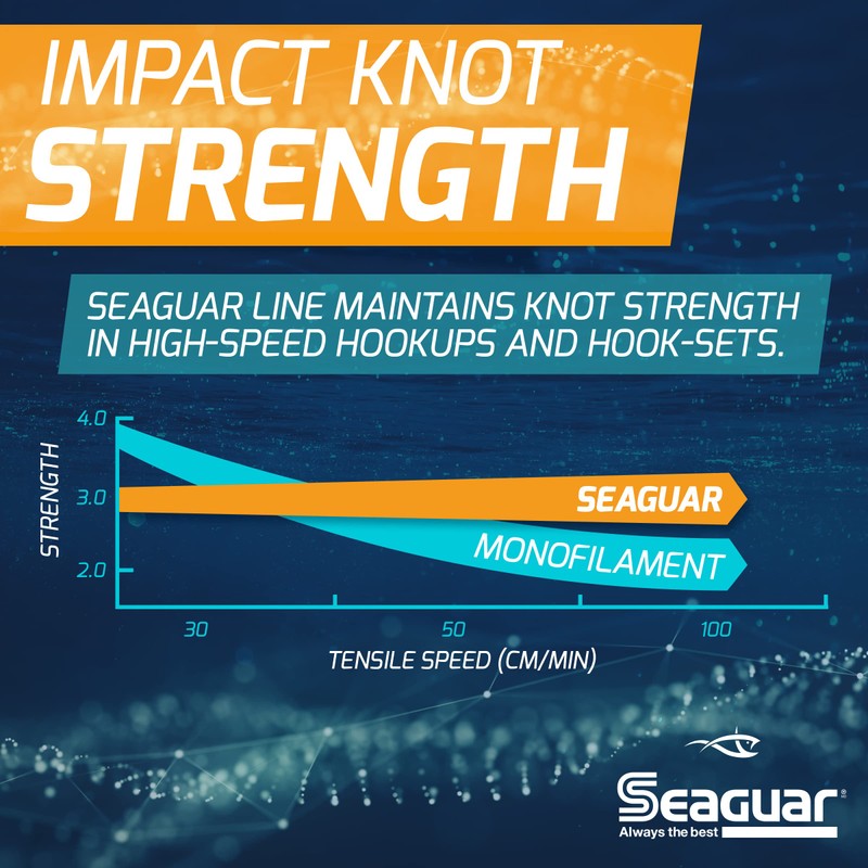 Seaguar Blue Label 50-Yards Fluorocarbon Leader (15-Pounds)