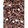 Copper Clout Nails 38mm x 3.35mm Roofing Nails Tree Stump