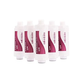 Ion BF-150 - Premium Bidet Filter for Electronic Bidet Toilet Seats (Pack of 5)