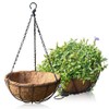 Set of 2 Black Iron Chain Plant Holders! Perfect for