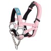 Big Dog Styles Head Collar. Made in UK for Large