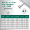DSM Flat Head Tapping Screws ISO 14585 4.2 x 60