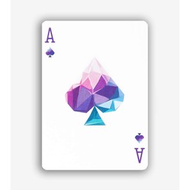 Memento Mori Playing Cards by Murphy's Magic Supplies, Inc.