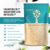 Meal Replacement Shake - Nutritious Plant Based Organic Protein Powder