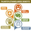 Rosmolo 1500 MG Palmitoylethanolamide with Luteolin 98% & Turmeric, High