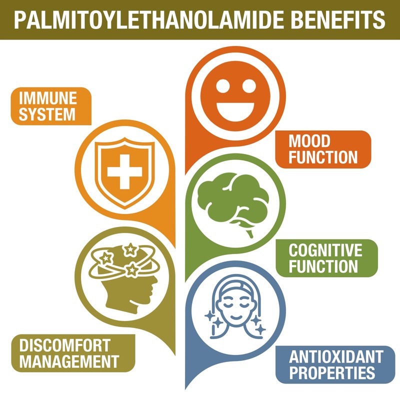 Rosmolo 1500 MG Palmitoylethanolamide with Luteolin 98% & Turmeric, High