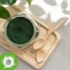 Organic Chlorella Powder - 100 g. Chlorella Algae Powder Made