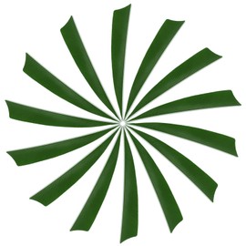 YELARXI Arrow Vanes Turkey Archery Arrows Feather Fletching, 4 Inch Left Wing Fit for Hunting Target Shooting (25Pcs Green)