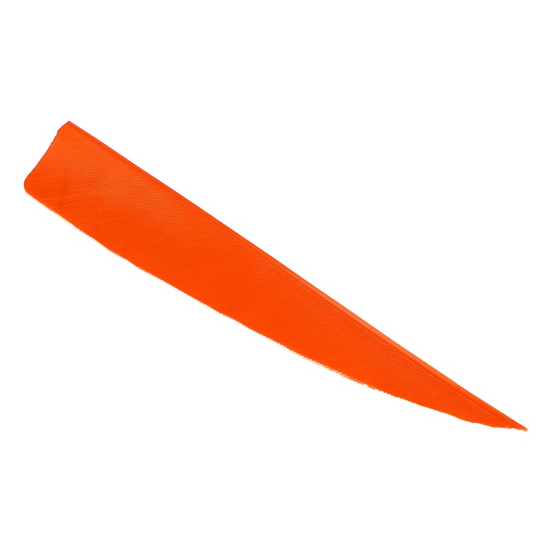 20pcs Feather Fletching High Speed Stable Flight Archery Arrows for