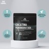 Daimel | Creatina Monohidratada en Polvo | 2 Kilos |