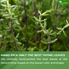 TOG999, Premium 40 Thyme Leaf Tea Bags, 100% Natural &