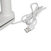 UV LED Nail Lamp with Clamp 2 in 1 Nail
