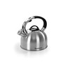 Satin Steel Kettle